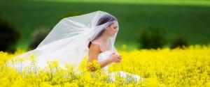 professional wedding dress cleaning